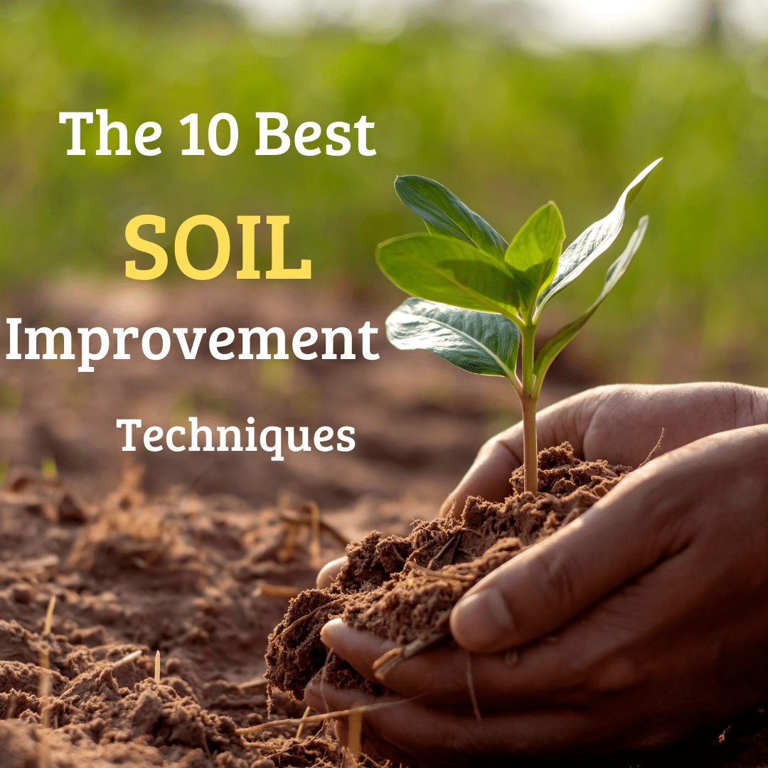 Soil Improvement